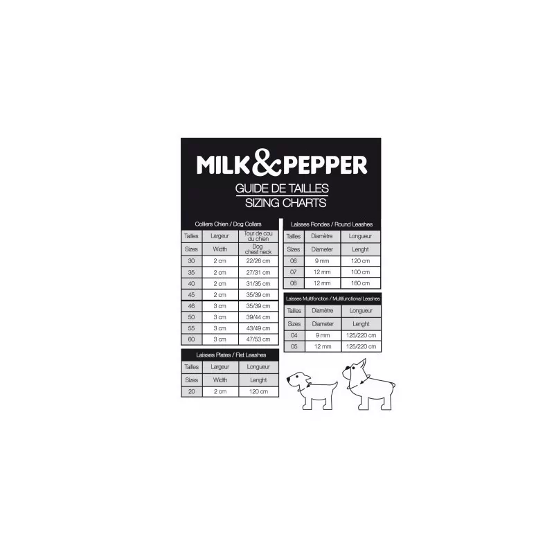 copy of 